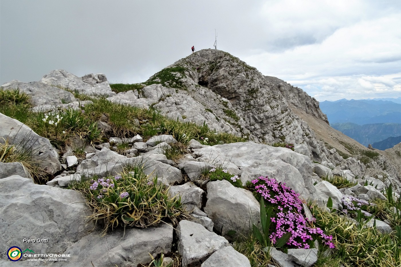 71 E siamo sulla cima orientale del Pizzo Arera.JPG